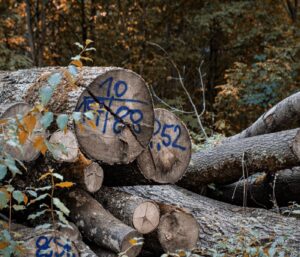 Linux-Logs mit auditd auswerten: Der Praxis-Leitfaden